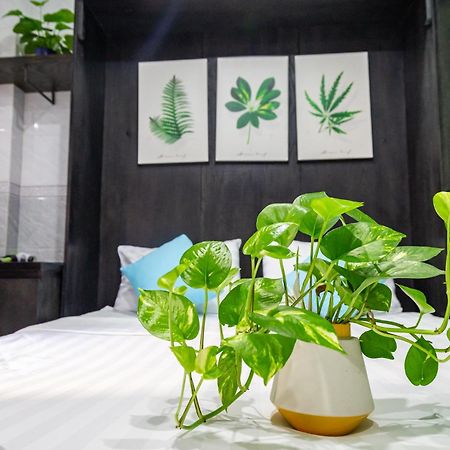Nhà Dân Cola's Apartment TP. Hồ Chí Minh Ngoại thất bức ảnh